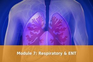 Module 7 Respiratory & ENT