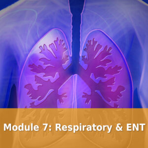 Module 7 Respiratory & ENT