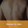 Module 11 Skin