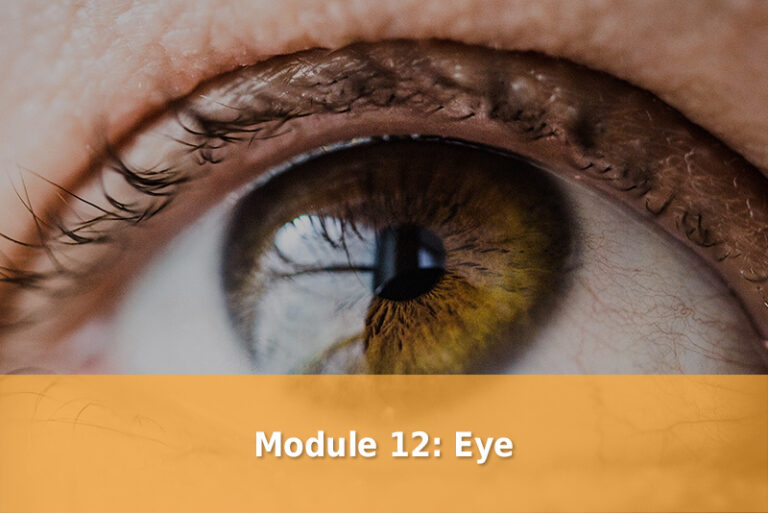 Module 12 Eye