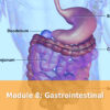 Module 8 Gastrointestinal