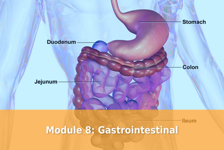 Module 8 Gastrointestinal