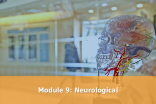 Module 9 Neurological